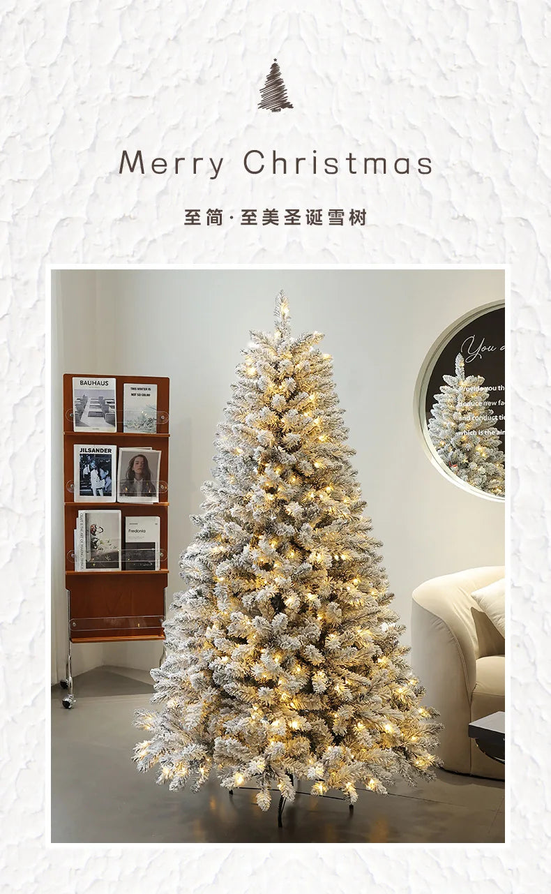 Christmas Snowfall, Plucking, Encryption, Christmas Tree Ornaments, Ch - Interior View